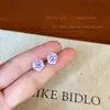 Brincos de Flor de Rosa Adequados para Primavera e Verão, Novo Estilo 2026 para Mulheres, Brincos Doces de Alta Qualidade, Brincos Coloridos Super Feéricos