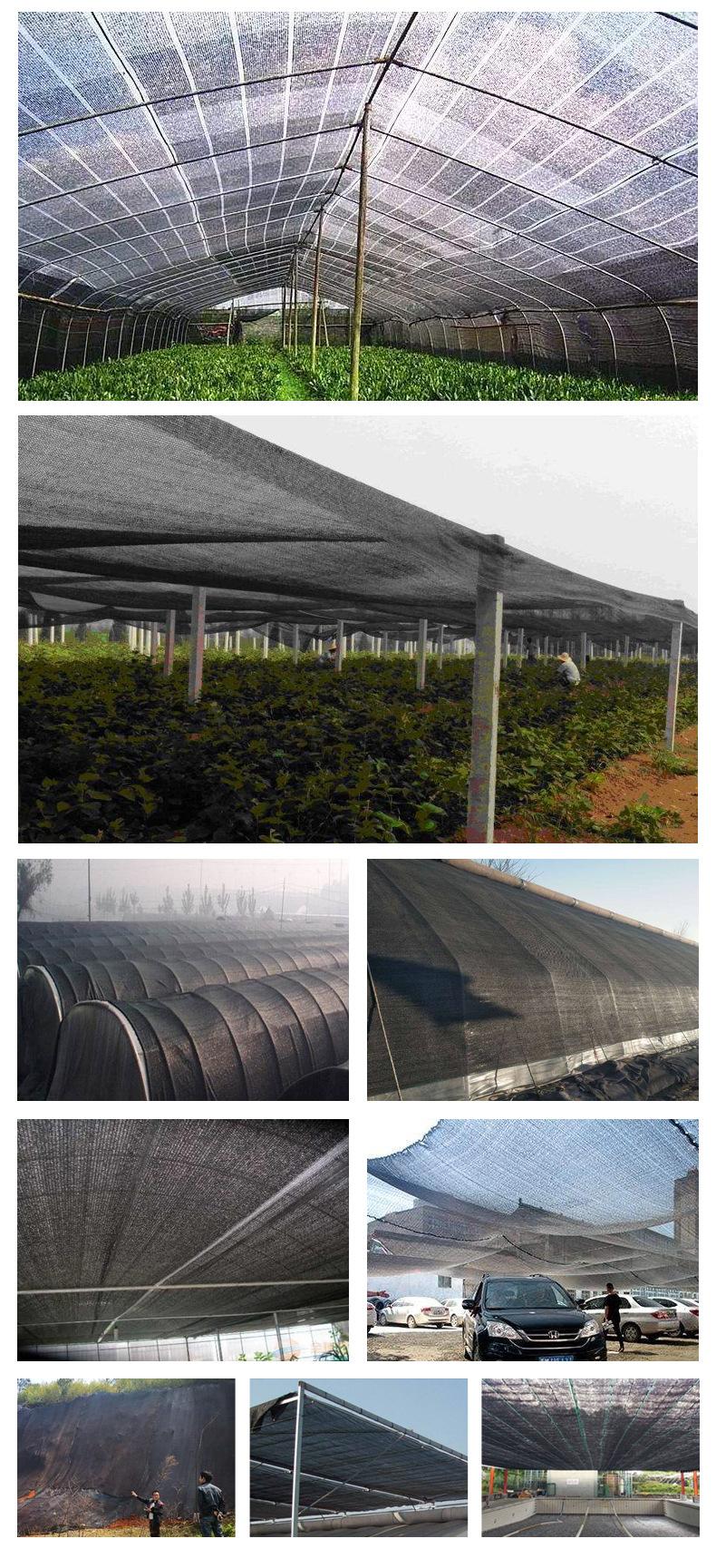 黑色遮阳网-恢复的_08