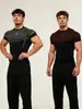 Camiseta Deportiva Ajustada para Hombre Gym-Shark Fitness Manga Corta Running Entrenamiento Secado Rápido Baloncesto Exclusiva Transfronteriza