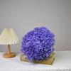 Flor Eterna Transfronteiriça Hortênsia Anna Colorida Materiais DIY Feitos à Mão Casa Casamento Publicidade Festivo Flores Secas Flores Decorativas