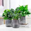 Dropshipping Gardenia, Flor de la Longevidad, Flor en Maceta Aliento de Bebé, Sala de Estar Interior, Bonsái Autoabsorbente para Personas Perezosas, Fácil de Mantener
