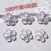 Acessórios de Resina Joias DIY Flor para Sapato Adesivo para Copo de Água Acessórios de Cola de Creme Acessórios para Headwear Infantil Adesivo para Papelaria Cola Super Cola Flor de Cinco Pétalas