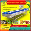 Em estoque classificador automático de frutas melão doçura de frutas classificador de cores cacto equipamento de classificação de frutas frutas e vegetais coco jujuba classificador