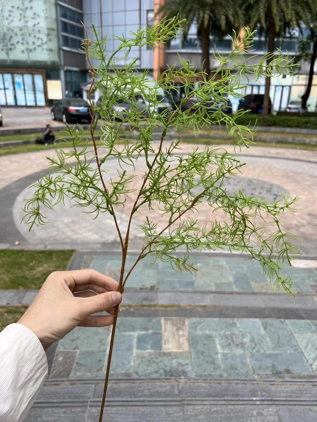 微信图片_20240228150407.jpg