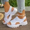 Zapatos de Mujer Estilo Manga Transfronterizos Europeos y Americanos de Tacón Bajo Boca de Pez Fuente Zapatos Casuales Moda Otoño 2025 Sandalias Venta al por Mayor Tallas Grandes