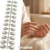 Adesivos de Nail Art de Comércio Exterior Mais Vendidos, Cor Nude Transparente, Cor Sólida, 24 Peças, Tamanhos Variados, Pontas de Nail Art Usáveis, Atacado
