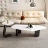 Mesa de Centro Creativa de Forma Irregular Lujo Ligero Moderna Minimalista Celebridad de Internet Estilo Italiano Apartamento Pequeño Sala de Estar Uso Doméstico