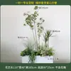 Caja de flores decoración flores y plantas arreglo floral producto terminado adorno de planta verde venta de restaurante oficina mampara canaleta de flores paisajismo biónico