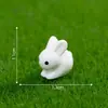 Terrário de musgo, adorável figura em miniatura de coelho branco, acessórios fofos de decoração DIY para paisagismo de jardim, pequenos enfeites de mesa
