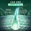Qingyang Shampoo Control de Grasa Revitalizante 480g para Hombres y Mujeres Aminoácidos Champú Esponjoso Crema de Champú Oficial Auténtico
