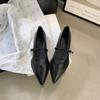 Zapatos de tacón bajo estilo francés, zapatos de punta estilo Chanel para mujer, primavera y otoño 2024, nuevos zapatos Mary Jane para mujer, zapatos de tacón grueso
