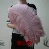 Plumas de Avestruz Blancas Boda Plumas de Avestruz Pasillo Accesorios para Fotos Adornos Red Social Rosa Ins Decoración Grande de Plumas