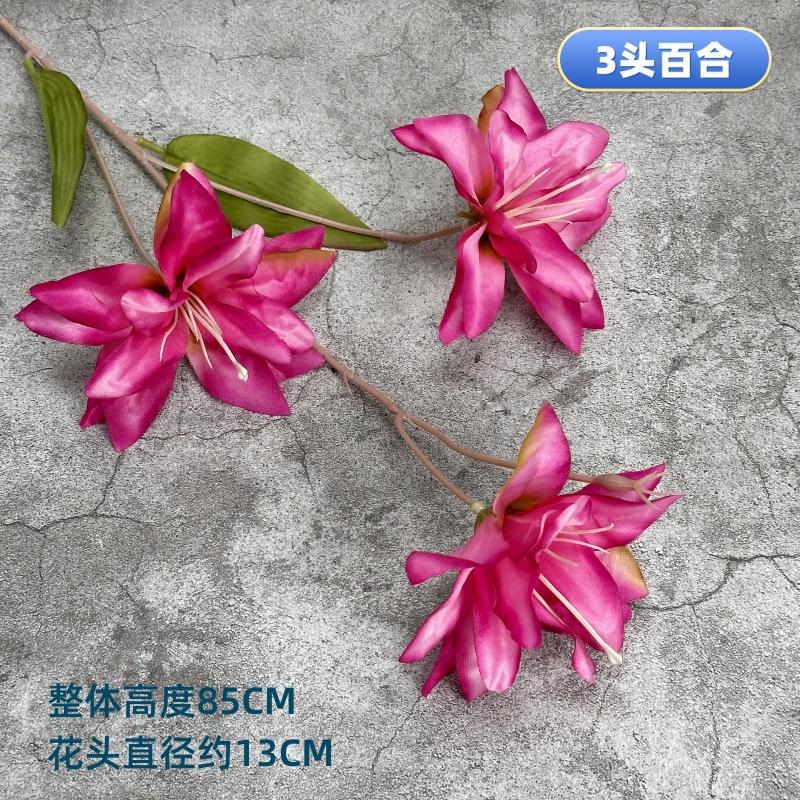 微信图片_20230414124208