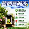 Solución Nutritiva Universal Jundun para Mejorar la Calidad, Aumentar el Rendimiento, Fortalecer las Plántulas y Suplementar la Nutrición para Melones, Frutas y Verduras