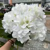 Nuevo Modelo 2024 Hortensia Artificial Impresa en 3D, Hortensia Bella de 5 Cabezas, Blanco y Verde, Venta al por Mayor para Comercio Exterior y Decoraciones de Boda