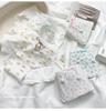 Ropa Interior Sexy de Algodón Puro para Mujer Nueva de Primavera con Fresco Diseño de Flores Pequeñas, Amigable con la Piel, Suave, de Cintura Media-Baja, Transpirable y Antibacteriana