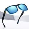 Gafas de Sol Polarizadas para Ciclismo Deportivo Gafas de Pintura Elástica de Colores Protección Solar para Hombres al Aire Libre Gafas Elegantes D731