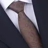 Corbata Color Champaña para Hombre Marrón Nudo de Negocios sin Nudos Cremallera Raya Retro Boda Mano del Novio Perezosa Marrón