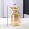 Jarrón de Vidrio Escandinavo Estilo Ins Pequeño de Vidrio Gama Alta Hidropónico Florero Adornos Decorativos Simples Venta al por Mayor