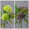 Trabalhos manuais: Céu Claro Espinho de Cardo Bola, Flores Artificiais Estilo Ins, Fabricante, Atacado de Casamento Transfronteiriço, Flores Artificiais, Decoração de Casa