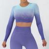 Nova Camiseta Esportiva de Yoga Sem Costura Outono/Inverno da Alpha para Mulheres, Top de Yoga Gradiente de Manga Longa com Sensação de Pele Nua