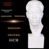 Jovem e de meia-idade cabeça de gesso retrato estátua de gesso Jovens chineses auxiliares de ensino 54 CM esboço de arte ainda vida escultura ornamentos