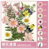 Paquete de Materiales DIY de Flores Secas Flores Prensadas Hechas a Mano Flores Conservadas Marcadores de Libros de Flores Prensadas Hojas de Árbol Real Plantas Pegatinas de Resina Maquillaje Facial