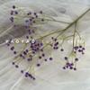 Simulação Gypsophila colorido pequeno buquê fresco de flores com decoração de casamento noiva segurando flores simulação sentir Gypsophila