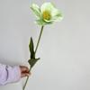 Tulipa de Cabeça Única, Ramo Único, Tulipa de Pétala, Decoração de Salão de Casamento, Balão de Flor, Decoração Floral Suave para Festa em Estoque