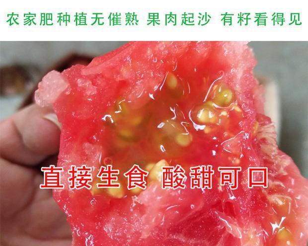 2f15ad77-f8f0-4af3-ba6a-527da588dd66.jpe