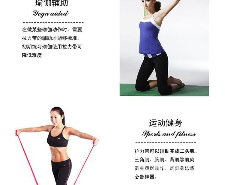 拉力带_15