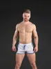 Shorts Masculino Musculoso Secagem Rápida Buraco Sexy Respirável Esportes Praia Treinamento Fitness Lazer Ao Ar Livre Calças de Três Pontos para Homem