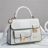 Bolsa pequeña cuadrada para mujer, bolso cruzado para mujer, bolso de hombro de nicho de alta gama, bolso mensajero de venta caliente transfronteriza, fábrica de bolsos para mujer