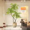 Planta de simulação Nandina domestica em vaso de chão, grande planta verde biônica, ornamentos para sala de estar, luz, flor decorativa de luxo, árvore falsa