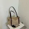 Bolso Almohada de Felpa Gamuzada de Alta Gama para Mujer 2026 Nuevo Otoño Súper Caliente Estilo Maillard para Viajes Cotidianos Bolso de Hombro Único