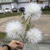 Nueva bola de lana verde flor de simulación de boda comercio exterior 3 bolas de pelo blanco boda mano sosteniendo fondo hogar flores artificiales venta al por mayor
