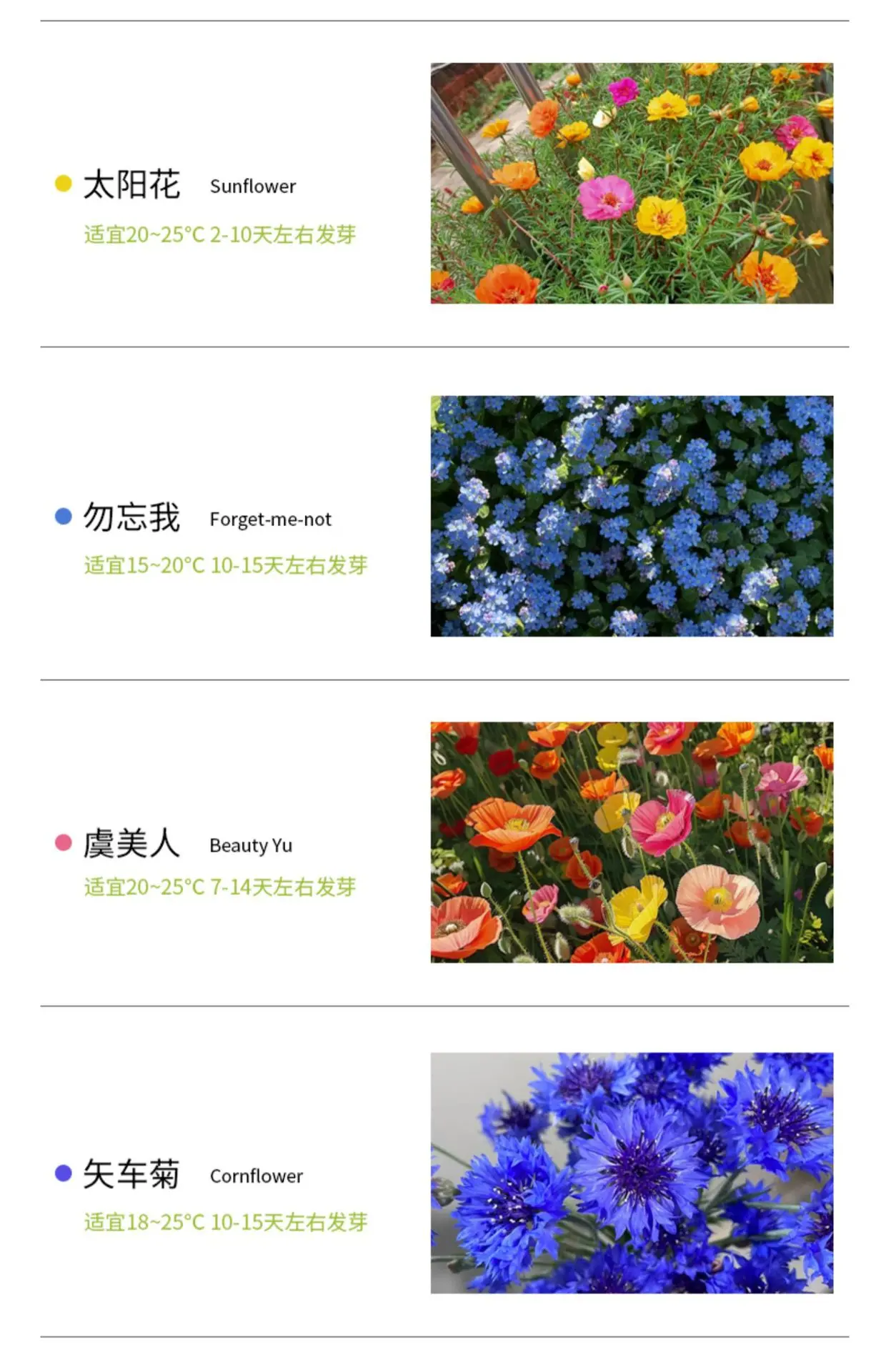 详情图片12.jpg