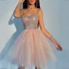 Vestido de Noche Estilo Hada 2027 Nuevo Modelo de Invierno con Trabajo Pesado de Lentejuelas, Moda Rosa para Anfitriona de Banquete Vestido para Brindar