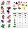 12 flores secas tridimensionales para decoración de uñas, tamaño de caja larga, 24 flores secas de varios tamaños, joyería para uñas al por mayor