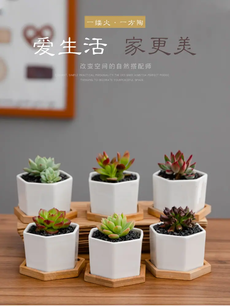 花盆18_01.jpg
