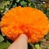 Pompons de Flor para Líderes de Torcida, Cabos de Pompons para Cheerleading, Pompons Coloridos, Pompons de Mão para Cheerleading, Flores de Mão para Eventos Esportivos