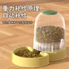 Bebedouro automático para animais de estimação transfronteiriço, comedouro de grande capacidade para gatos, tigela para cães, tigela para gatos, dispensador de água que evita molhar a boca e tombar