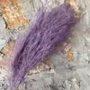 Grama Barba de Dragão Eterna Pendurada Arroz Decoração de Casa Pendurada na Parede Planta de Rattan Decoração de Casamento Grama Aspargo Grama Pena Grama Barba de Dragão