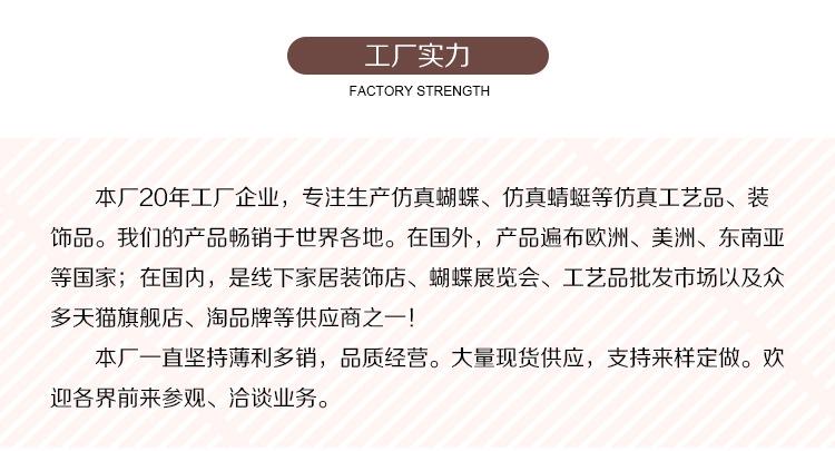 银色双层套装-详情_15.jpg