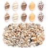 Colgante Flor de Concha Pequeña Natural Semiespiral Hecho a Mano Perforado Materiales para Manualidades DIY para Pulseras, Collares, Aretes y Accesorios de Joyería