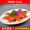 Modelo de Plato Molde de Comida Platos Falsos Comida Accesorios Gourmet Molde de Verduras Restaurante Cerdo Estofado Platos Calientes Fritos