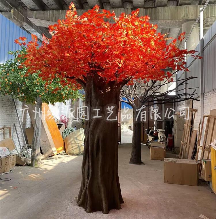 枫树红枫树绿枫122.jpg