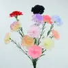 Cravo de 8cm Ramo Único Cravo Artificial Temporada de Formatura Dia dos Professores Dia das Mães Presente Buquê Arranjo de Flores Acessórios DIY