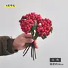 Suministro Exclusivo Transfronterizo de Racimos de Frutas Artificiales de 5 Piezas: Fruta Silvestre, Fruta de Espuma, Fruta Roja Navideña, Ramo de Frutas de Arándano, Bayas Pequeñas Artificiales