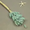 Flores Secas, Cola de Conejo, 60 Piezas/Manojo, Ramo de Lujo Ligero, Adornos de Flores Reales, Pequeño Ramo de Flores Eternas Regalo, Materiales de Flores Reales